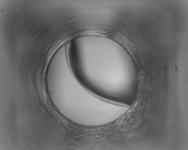 X0000051900289200506241034