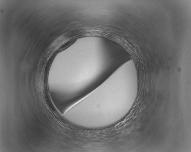 X0000051900291200506241034