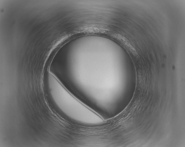 X0000051900488200506241031
