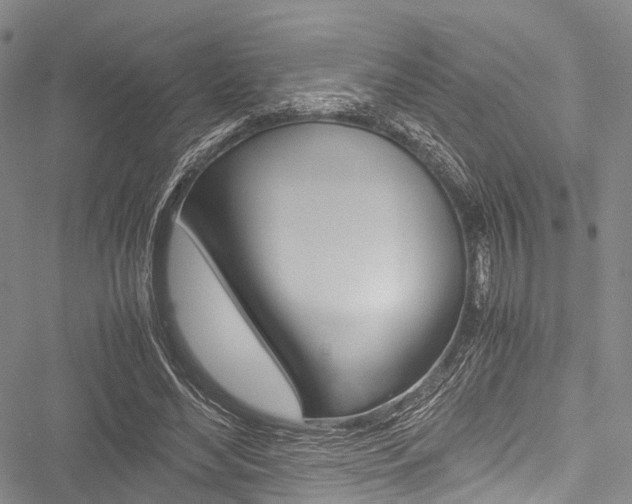 X0000051900492200506241031