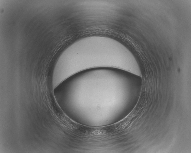 X0000051900546200506241030