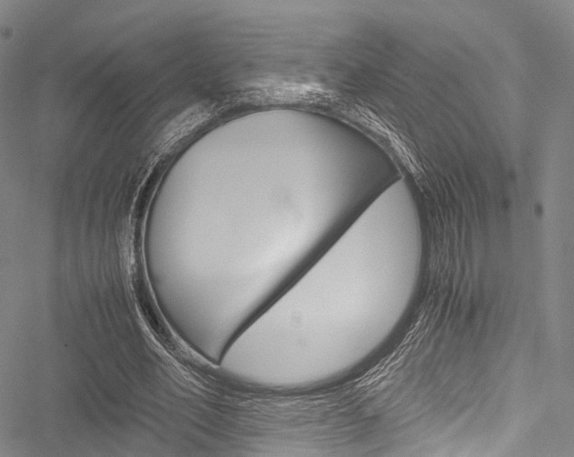 X0000051900582200506241030