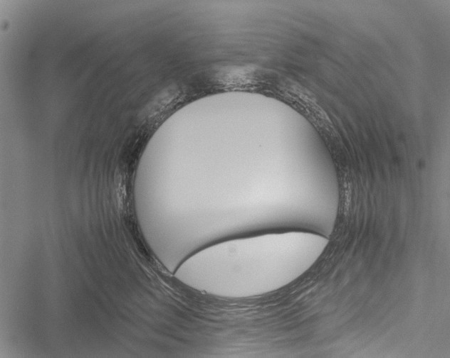 X0000051900618200506241029