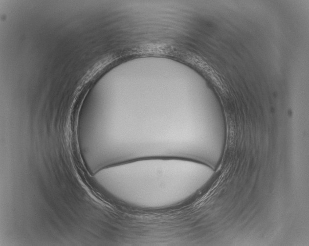X0000051900674200506241028