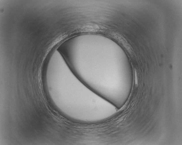 X0000051900675200506241028