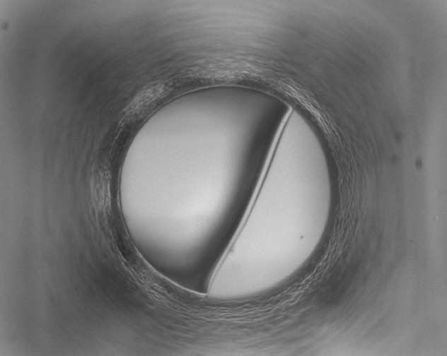 X0000051900685200506241028