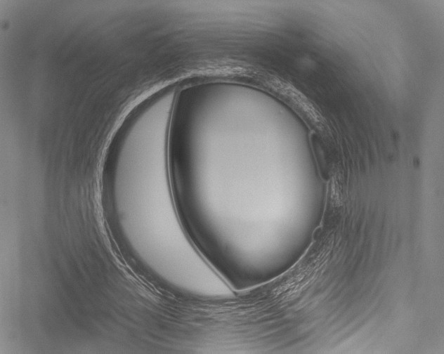 X0000051900724200506241027