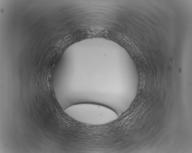 X0000051900770200506241026
