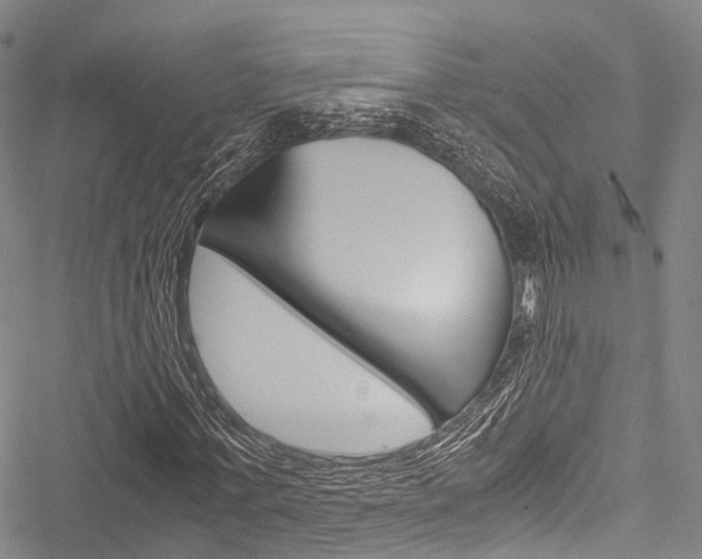 X0000051900771200506241026
