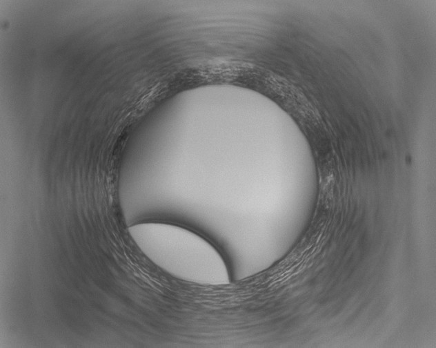 X0000051900772200506241026