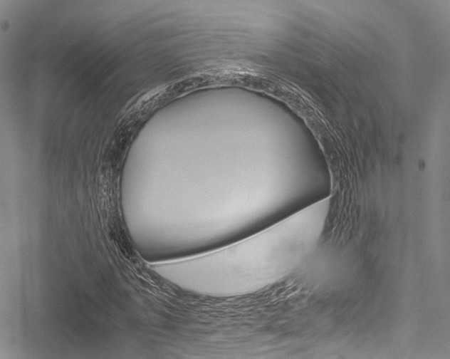 X0000051900773200506241026