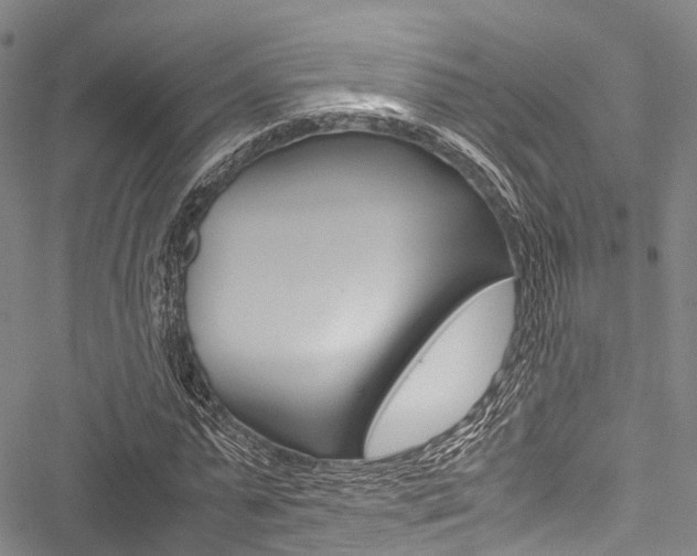 X0000051900775200506241026