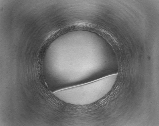 X0000051900776200506241026