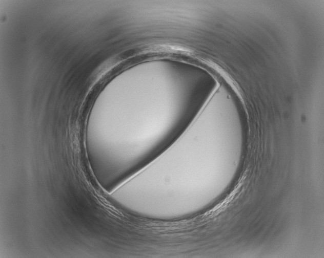 X0000051900783200506241026