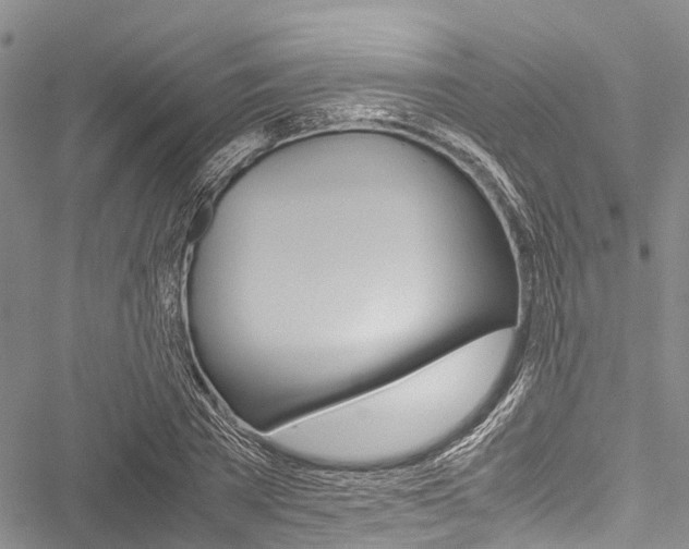 X0000051900785200506241026