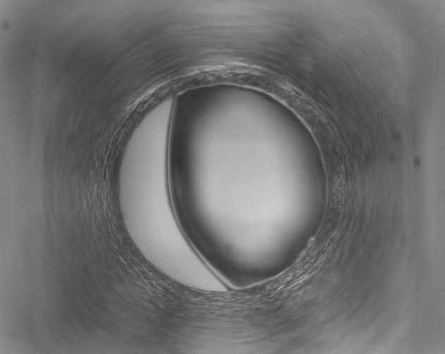 X0000051900822200506241025