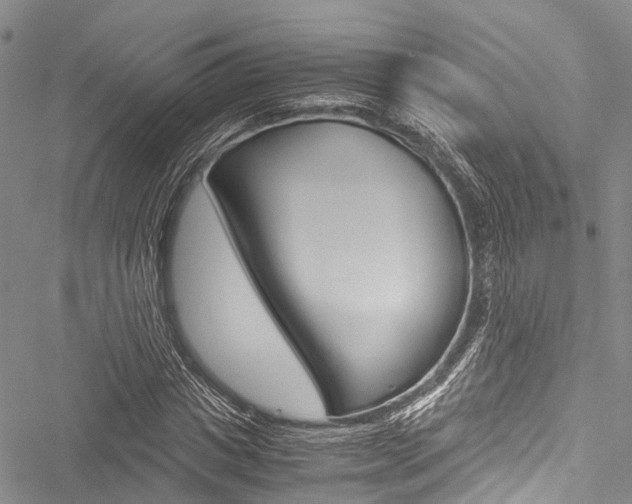 X0000051900825200506241025