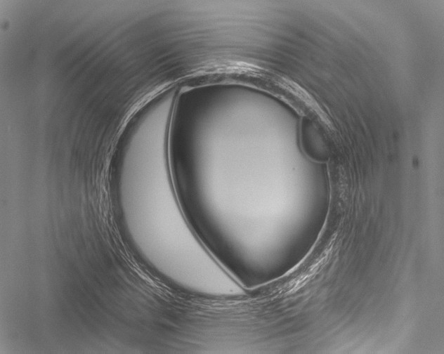 X0000051900826200506241025