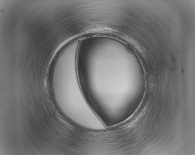 X0000051900830200506241025