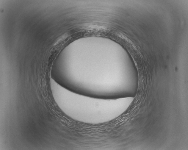 X0000051900869200506241025