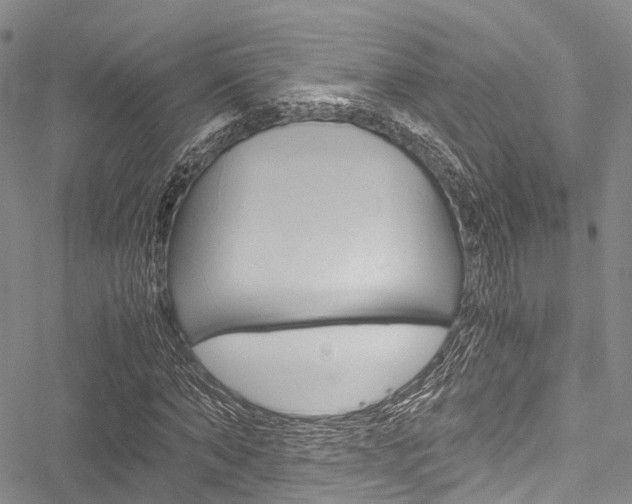 X0000051900870200506241025