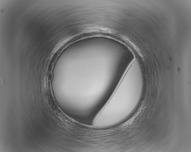 X0000051900877200506241025