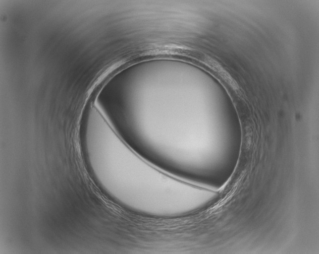 X0000051900885200506241025
