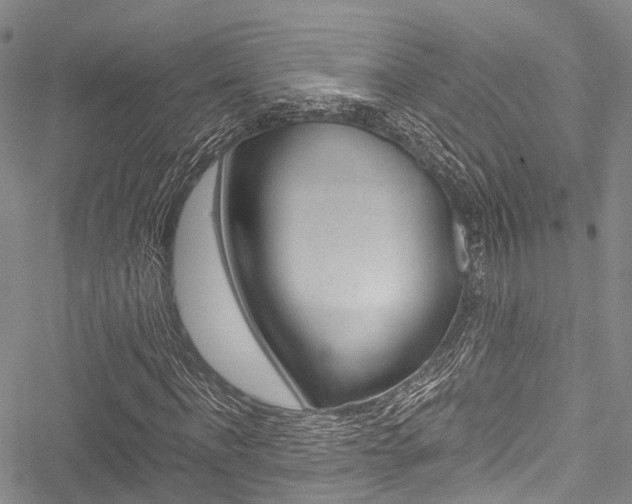 X0000051900916200506241023