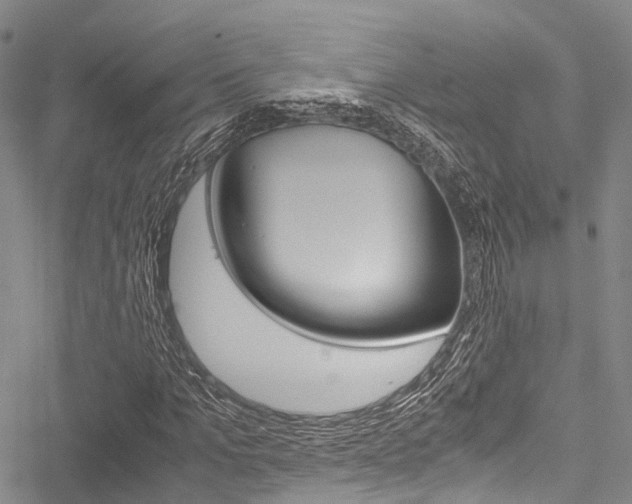 X0000051900965200506241023