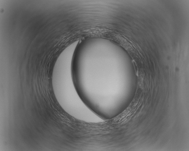 X0000051901010200506241022