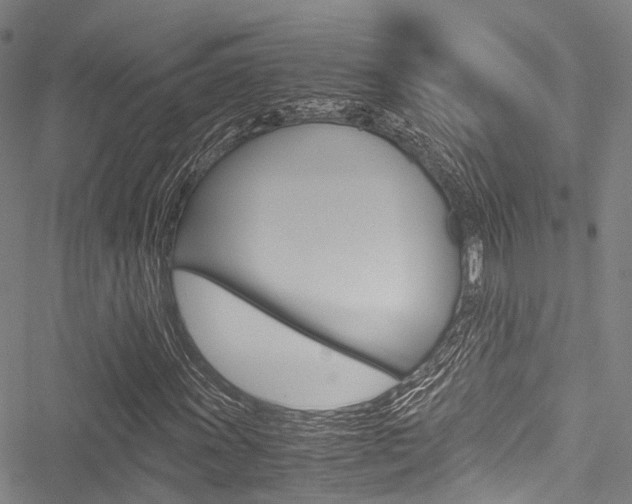 X0000051901011200506241022