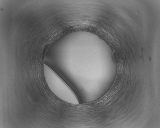 X0000051901012200506241022