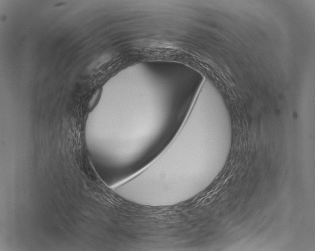 X0000051901013200506241022