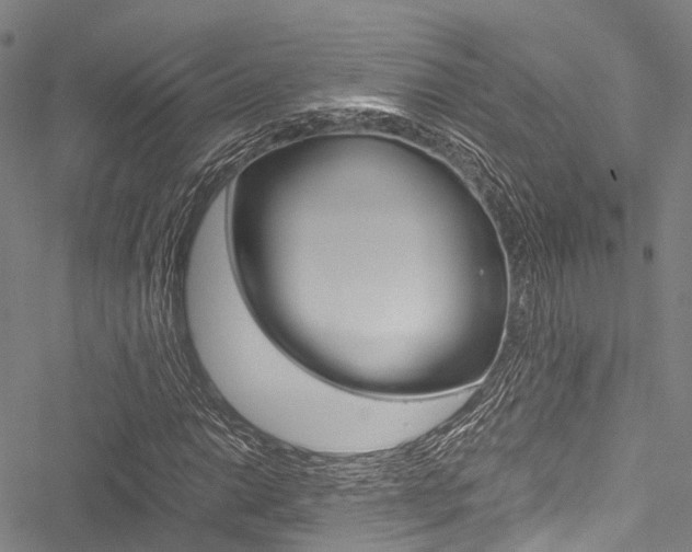 X0000051901014200506241022