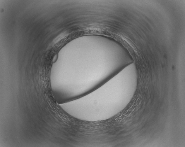 X0000051901015200506241022