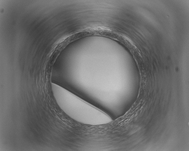 X0000051901016200506241022