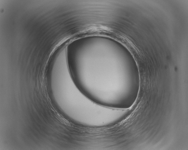 X0000051901018200506241022
