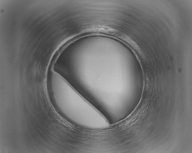 X0000051901020200506241022