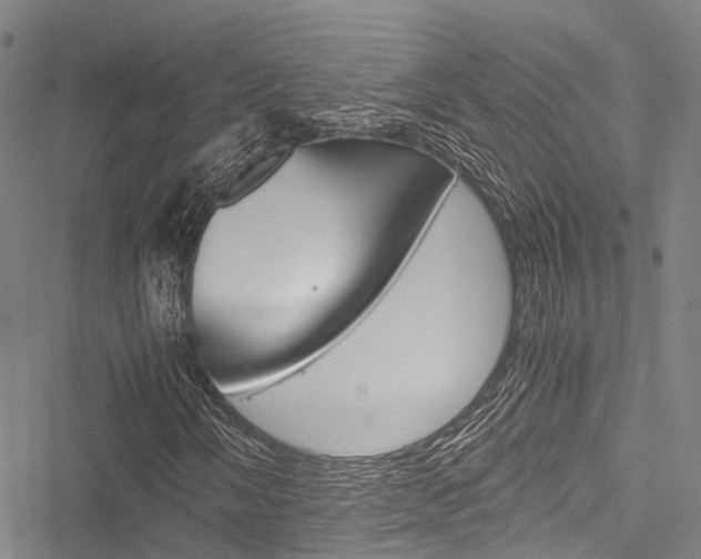 X0000051901058200506241022