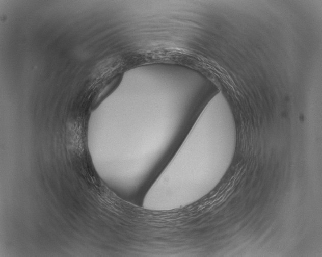 X0000051901060200506241022