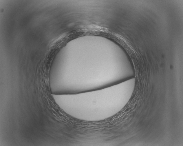X0000051901063200506241022