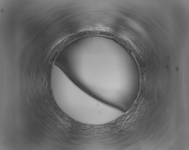 X0000051901064200506241022