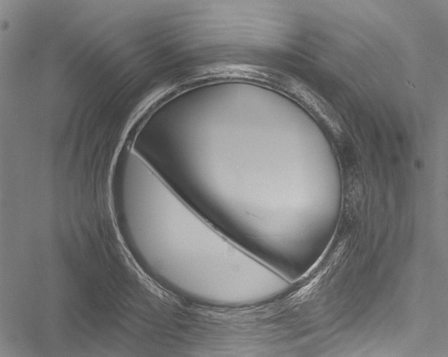 X0000051901082200506241021