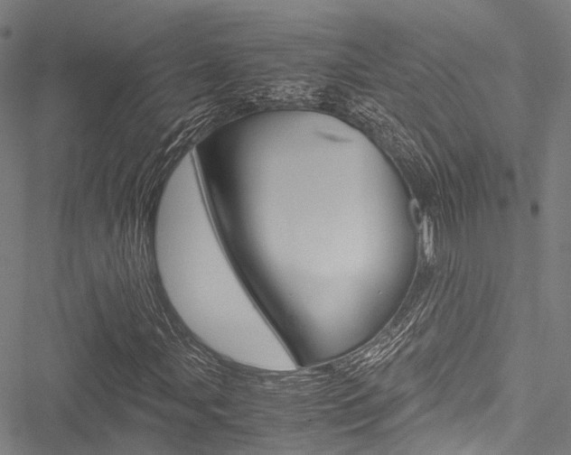 X0000051901107200506241020