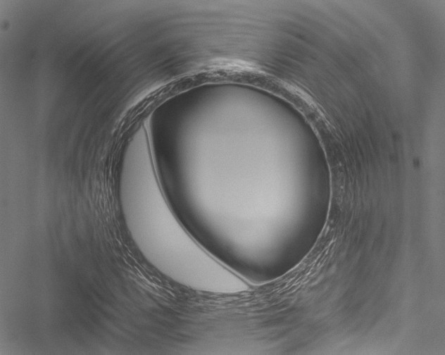 X0000051901112200506241020