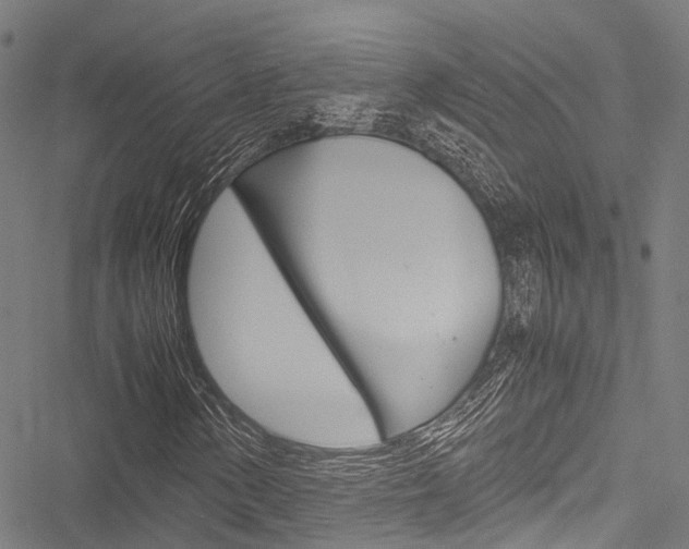 X0000051901154200506241020