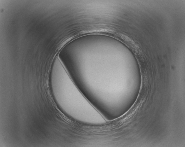 X0000051901177200506241020
