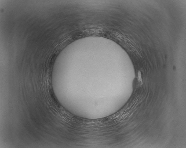 X0000051901203200506241019