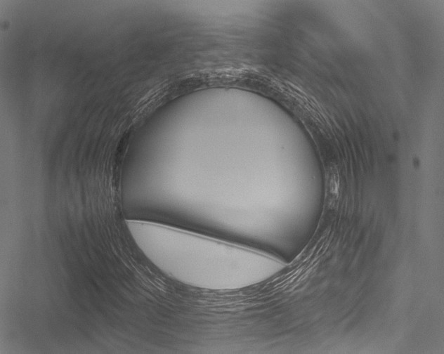 X0000051901252200506241019