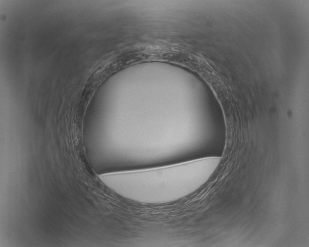 X0000051901253200506241019